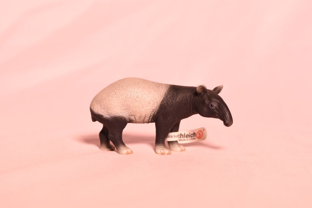 Snowman Of Hook Mountain