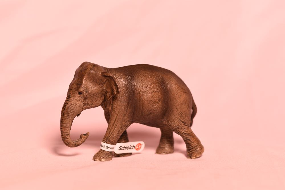 Great Canadian 50 50 Draw