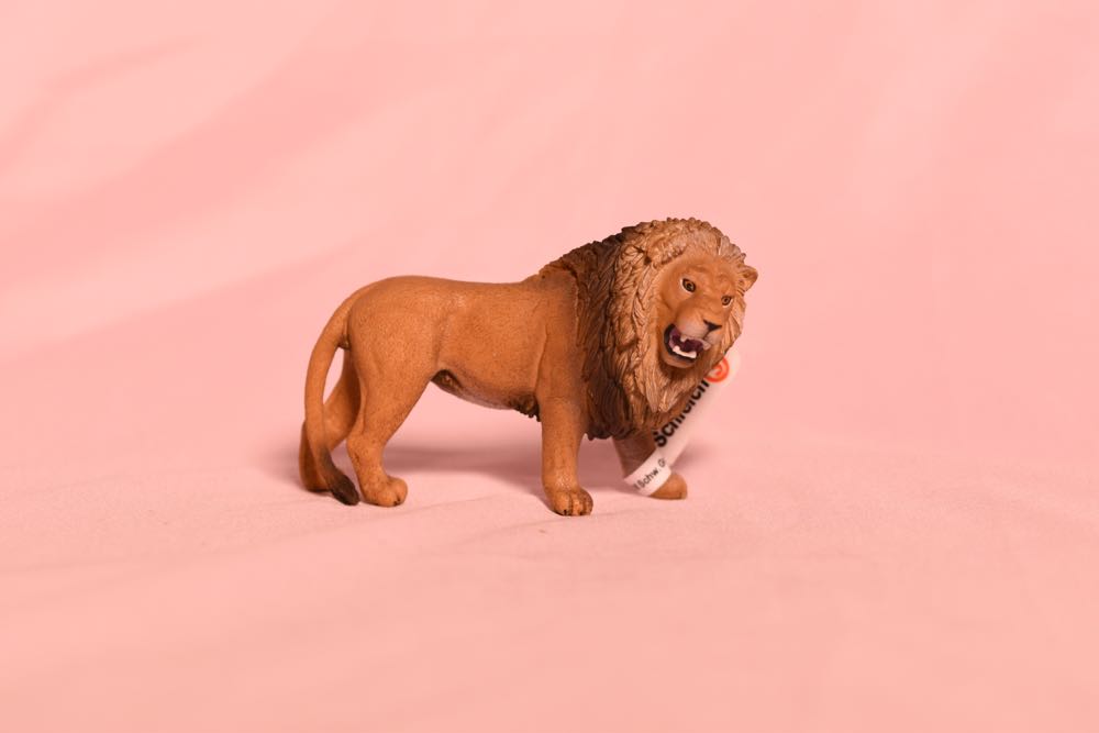 Lisa Hayes - Executive Officer of the SDF-1