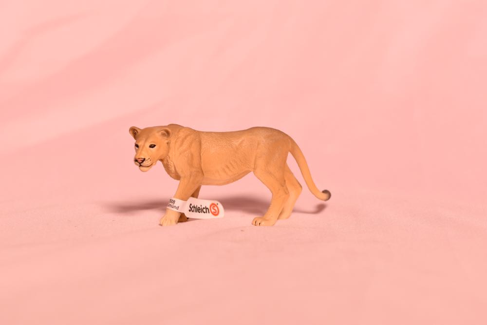 Image 143879