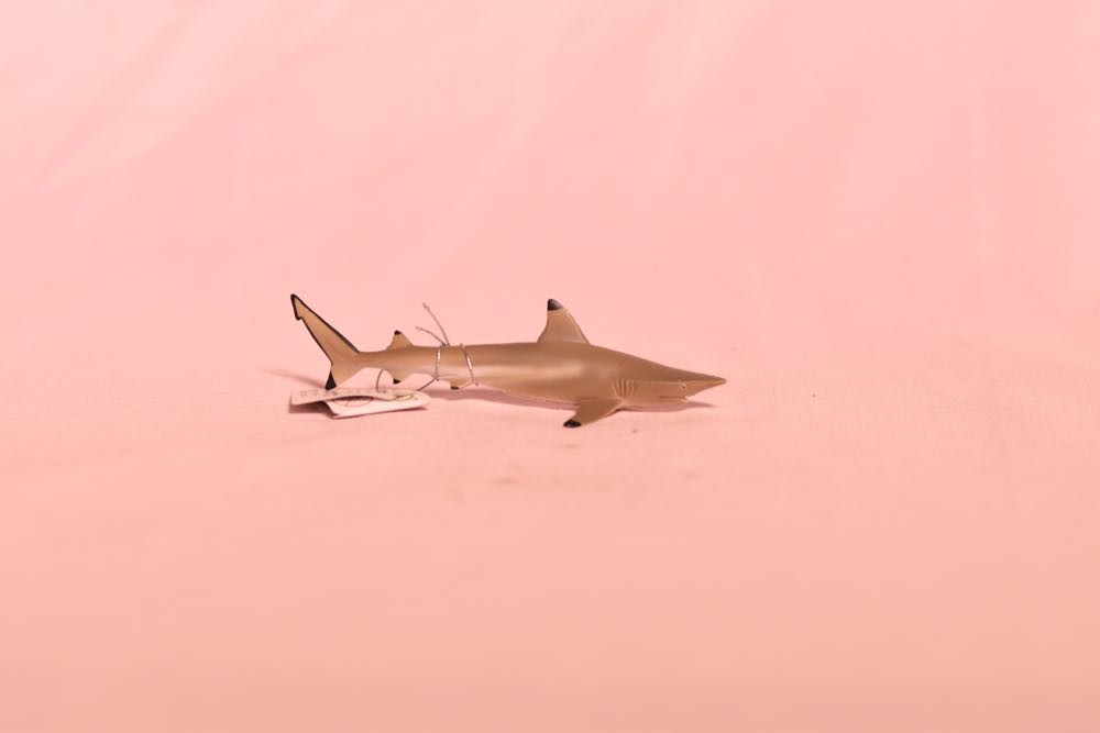 Pokemon: Pikachu Sitting #842