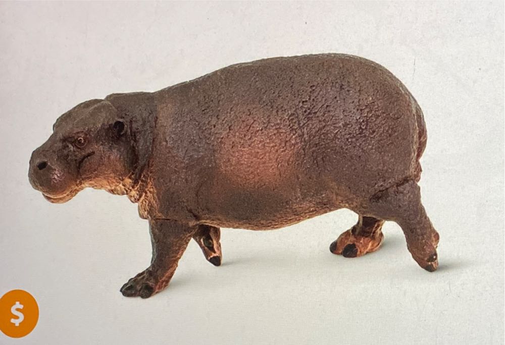 Pygmy Hippopotamus - Safari Ltd action figure collectible - Main Image 1