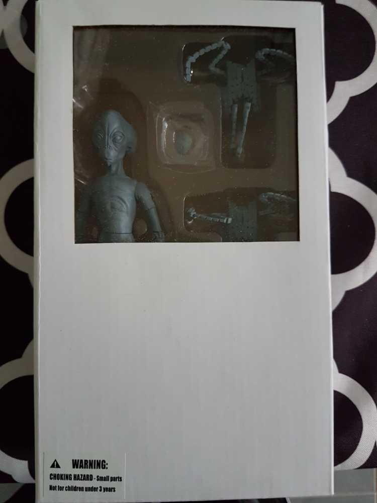 The Walking Dead Amc Edition