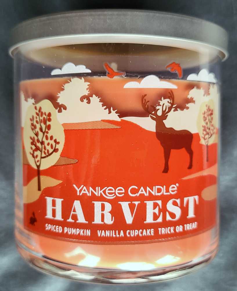 Pokemon 3” Silver Bulbasaur