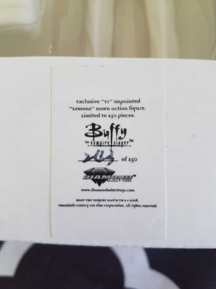 Buffy The Vampire Slayer Lessons Dawn 243 Of 250  action figure collectible - Main Image 2