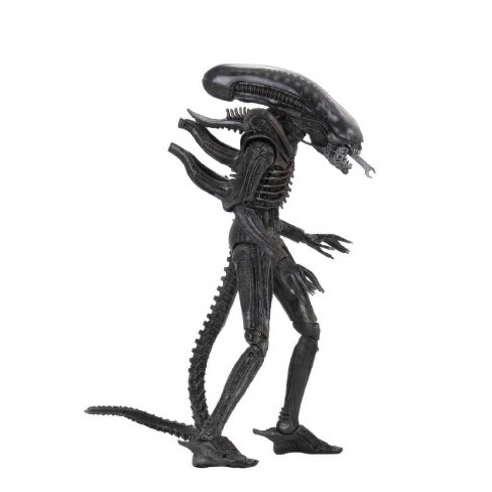 NECA Alien "Big Chap” Ultimate Edition - Neca (Alien) action figure collectible - Main Image 4