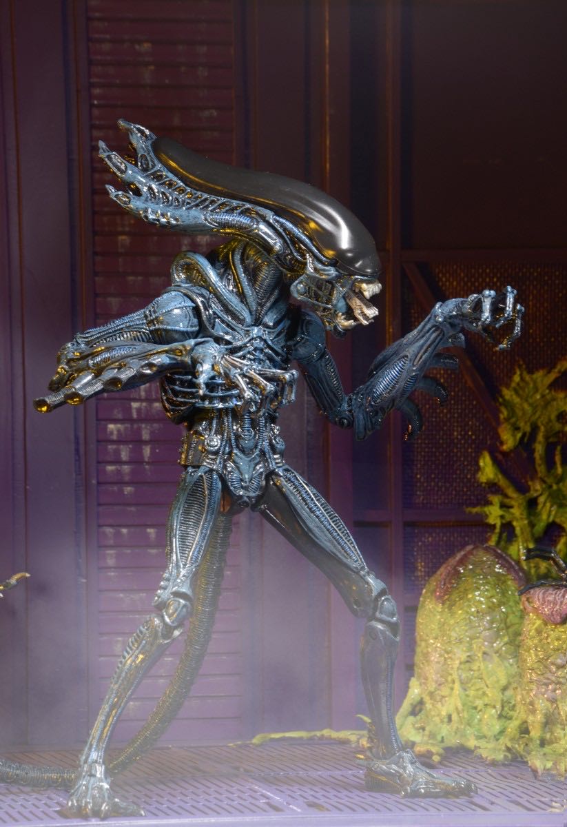 NECA Aliens Gorilla  action figure collectible - Main Image 3