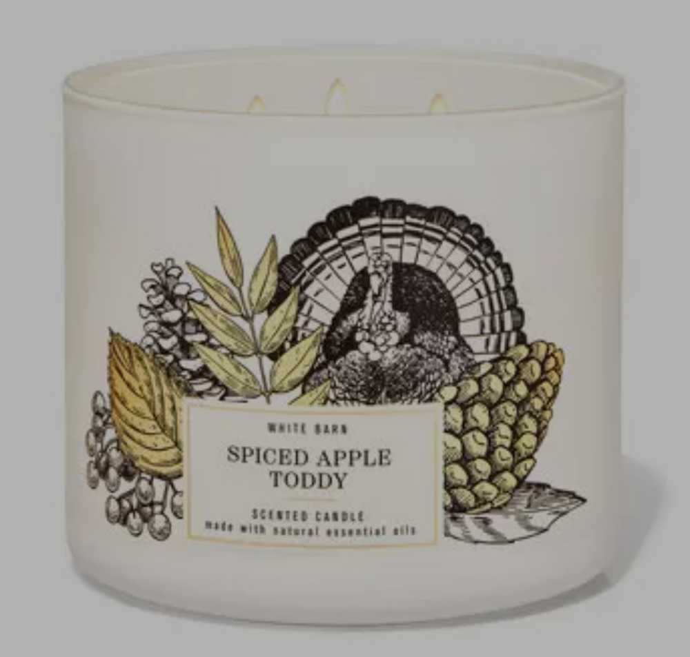 CANDLE: Thanksgiving Bath & Bodyworks Spiced Apple Toddy 2021 - Bath & Bodyworks Candle (Thanksgiving Candles) action figure collectible [Barcode 667555347884] - Main Image 4