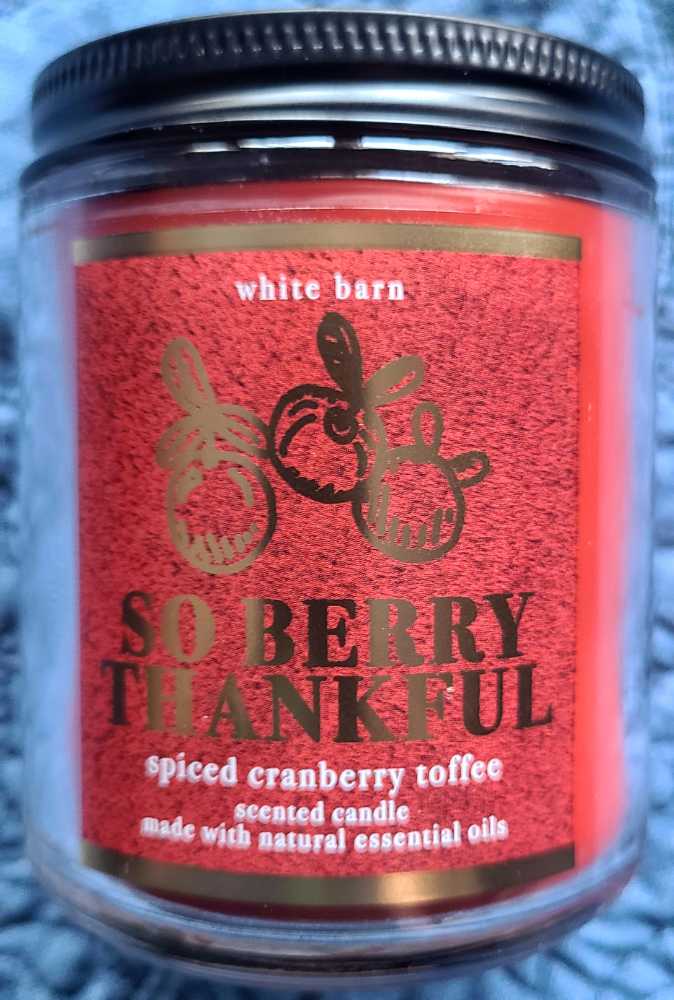 Einstein Collectable 6” Figure Accoutrements New Accoutrements Albert Einstein Accoutrements