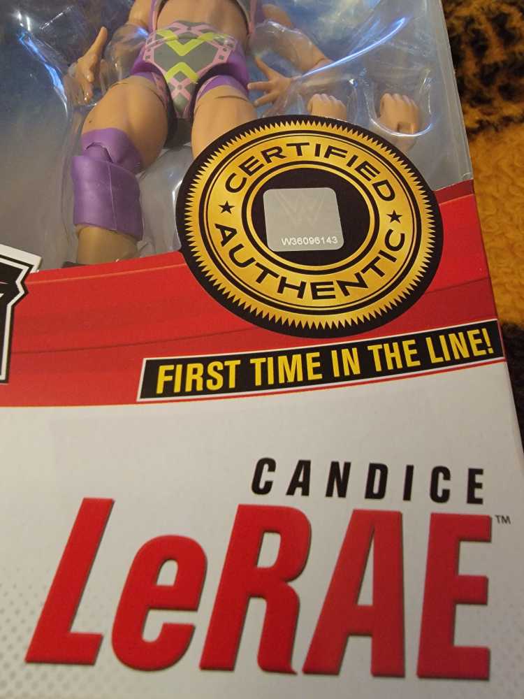 Candice LeRae - Mattel (WWE) action figure collectible [Barcode 887961922325] - Main Image 4
