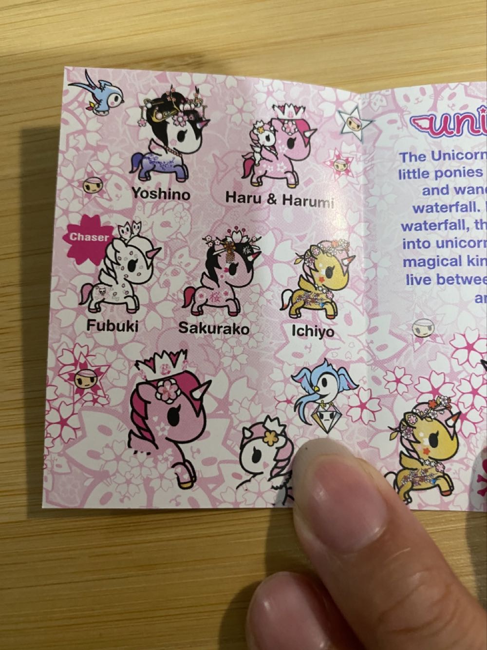 Haru & Harumi - Tokidoki action figure collectible - Main Image 3