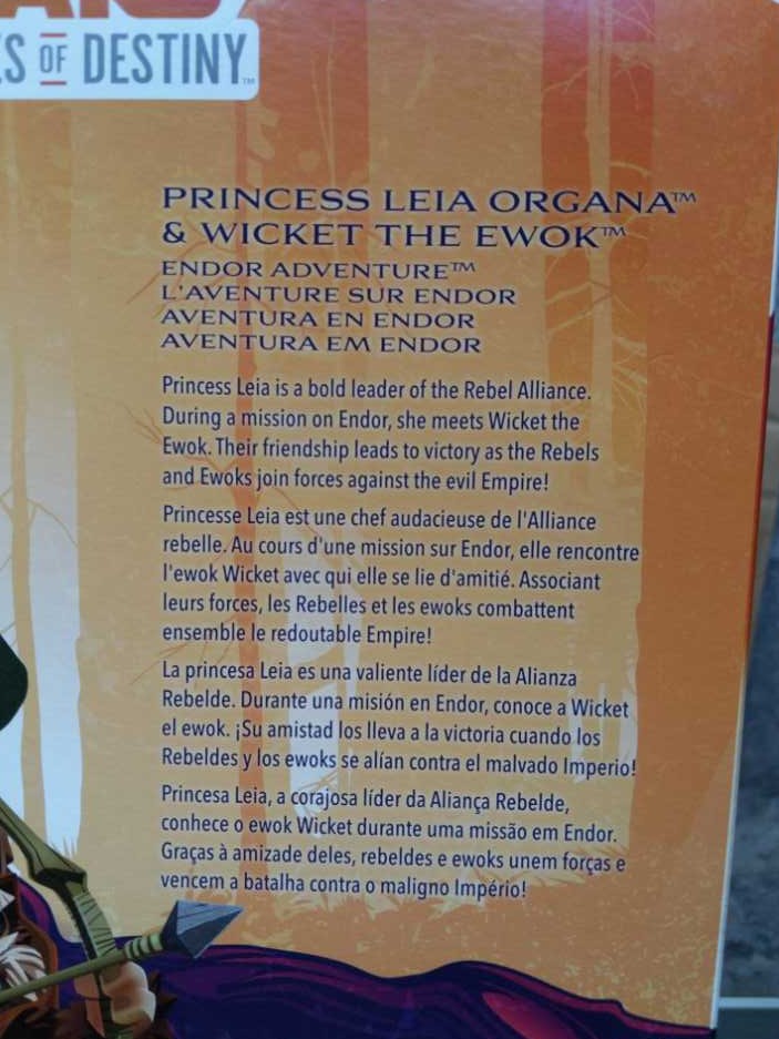 Princess Leia Organa and Wicket The Ewok - Hasbro Star Wars (12 Inch Star Wars Figure) action figure collectible - Main Image 3