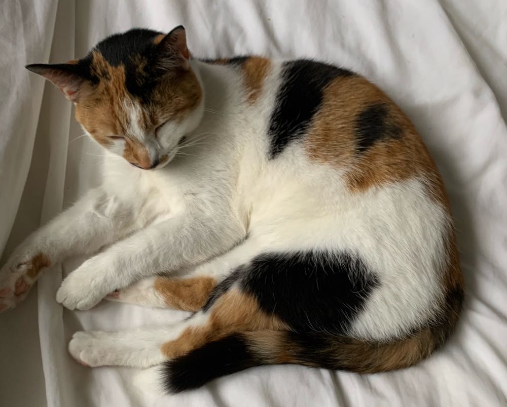 Image 146086