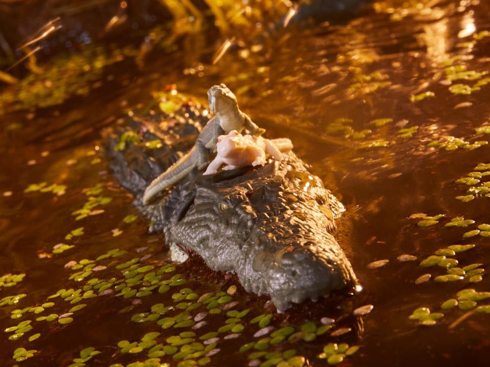 G.I. Joe Classified: Croc Master & Fiona - Hasbro (G.I. Joe: Classified Series) action figure collectible - Main Image 4