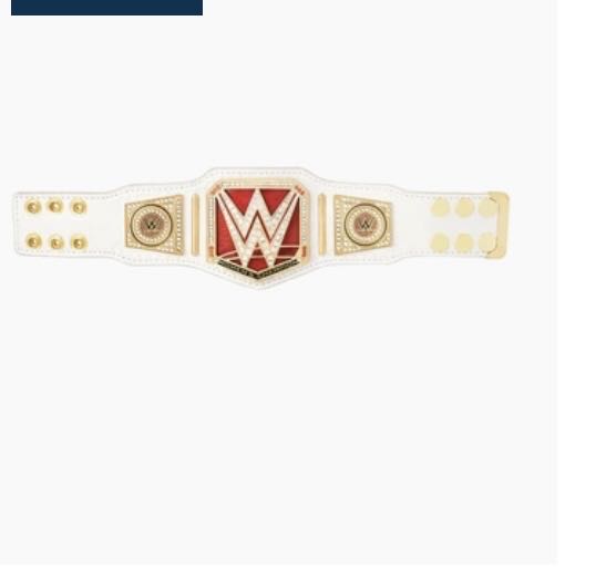 Raw Women’s Mini Title  action figure collectible - Main Image 1