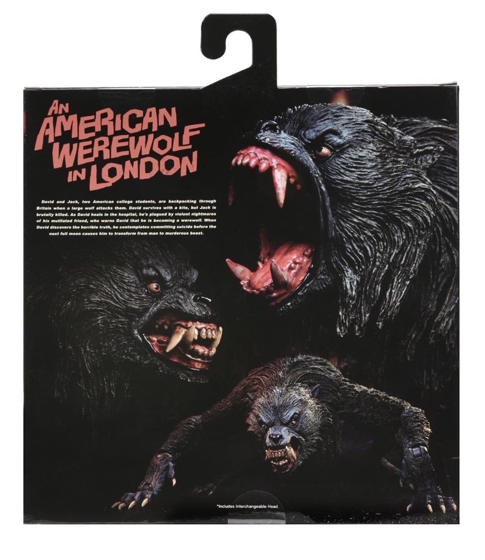 Kessler Werewolf - FILMS - HORROR (An American Werewolf In London) action figure collectible [Barcode 634482049518] - Main Image 3