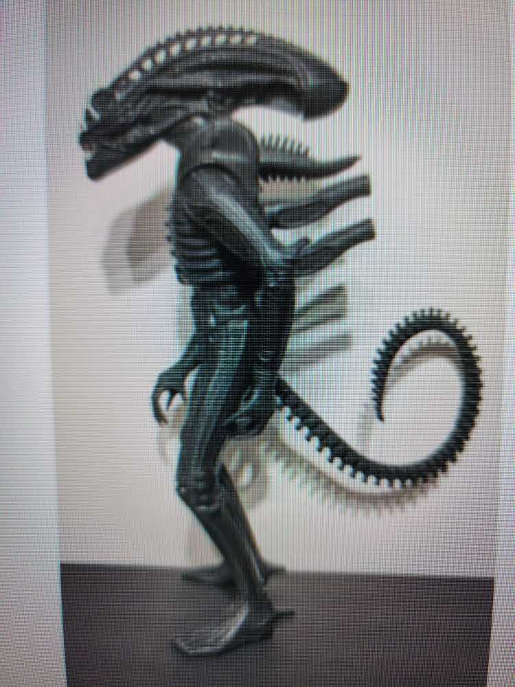 God Robe Zeta Alcor Bud