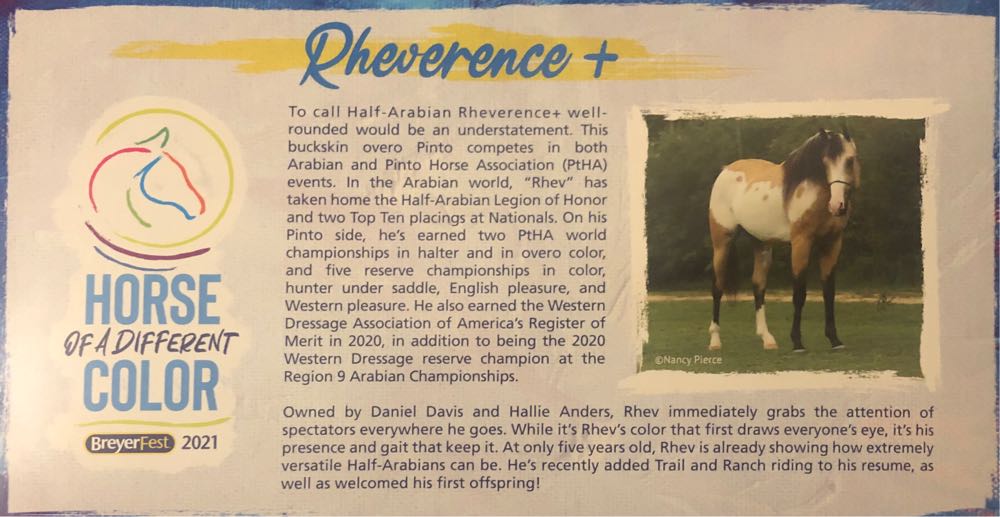 Rheverence+ - Breyer Animal Creations (Breyerfest) action figure collectible [Barcode 019756714819] - Main Image 3