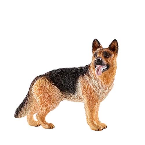 Image 151049