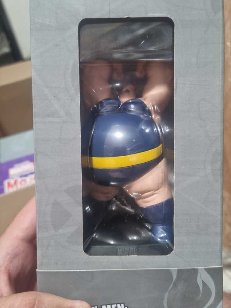 BF Celebration Horse 32 Danesh’s Northern Tempest