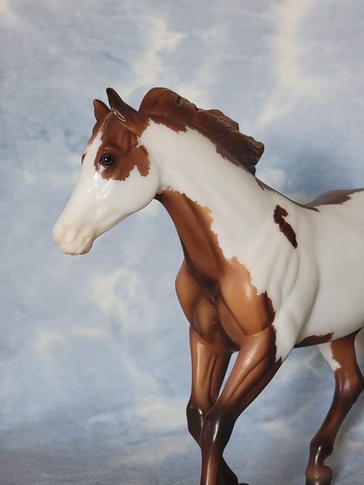 Notoriously Framed: Short Mane - Breyer action figure collectible - Main Image 4