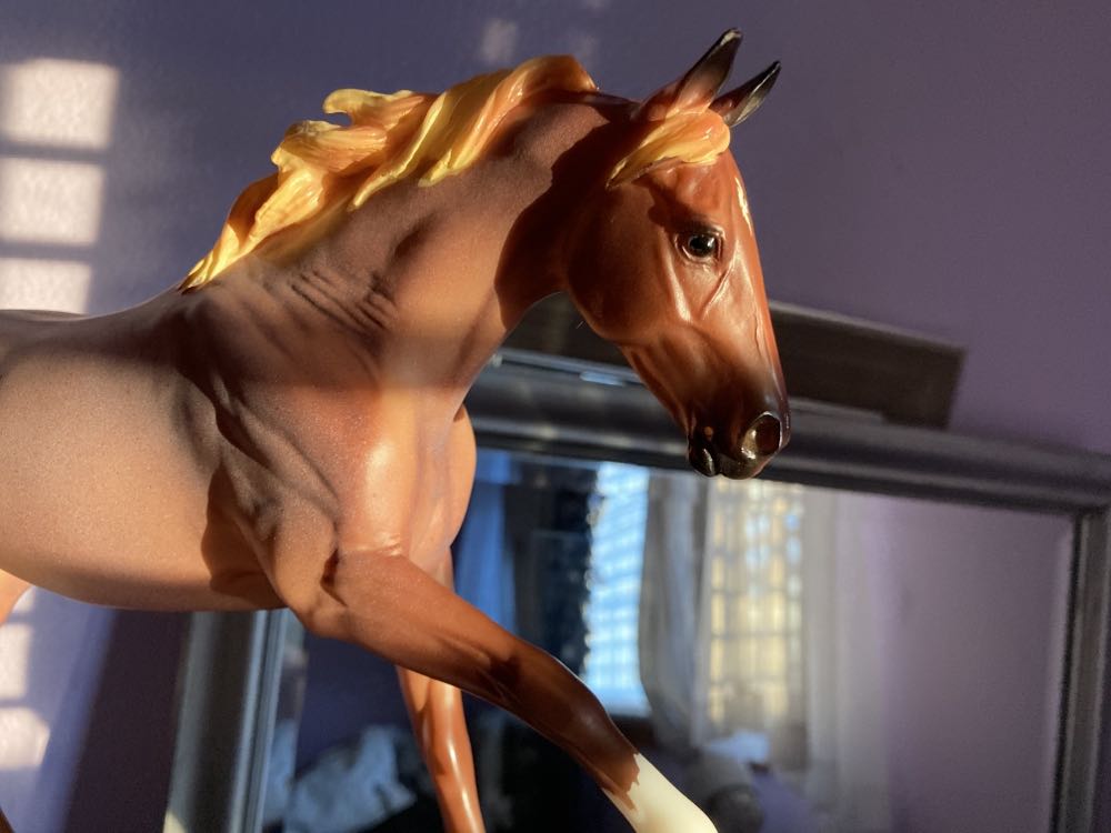 Frankenstein Deluxe Box Set