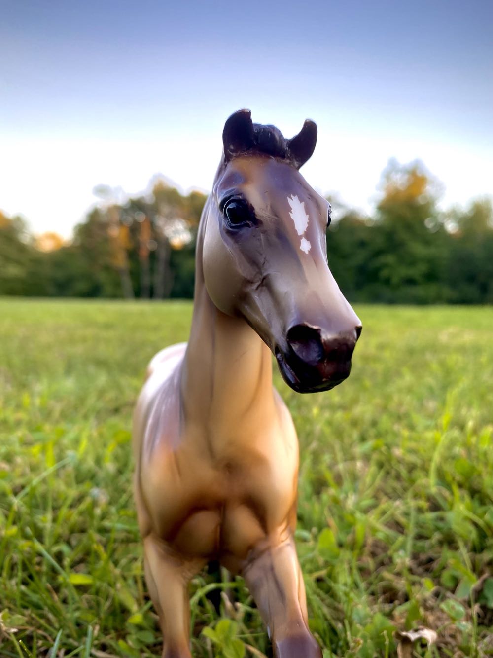 Rudolph:  The Island Of Misfit Toys - Yukon’s Sled & Dog Team