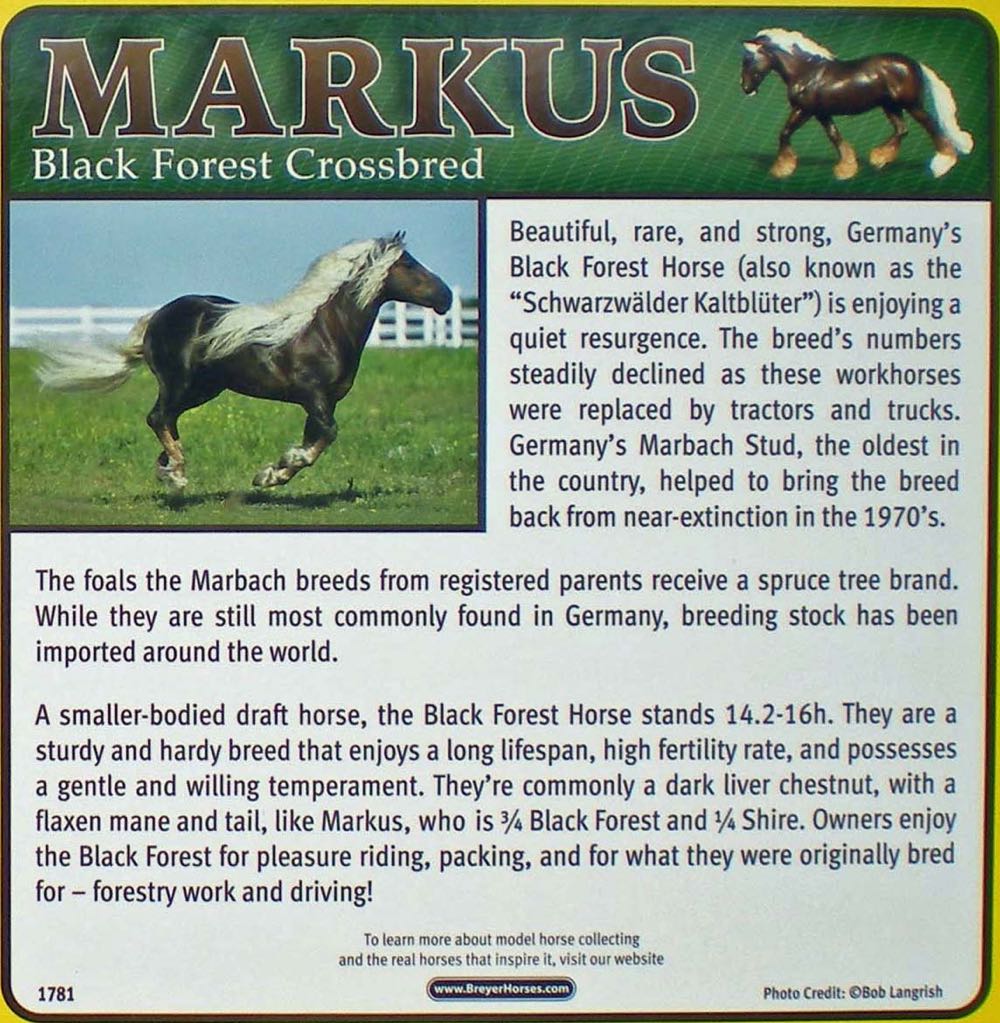 Markus - Breyer action figure collectible - Main Image 4