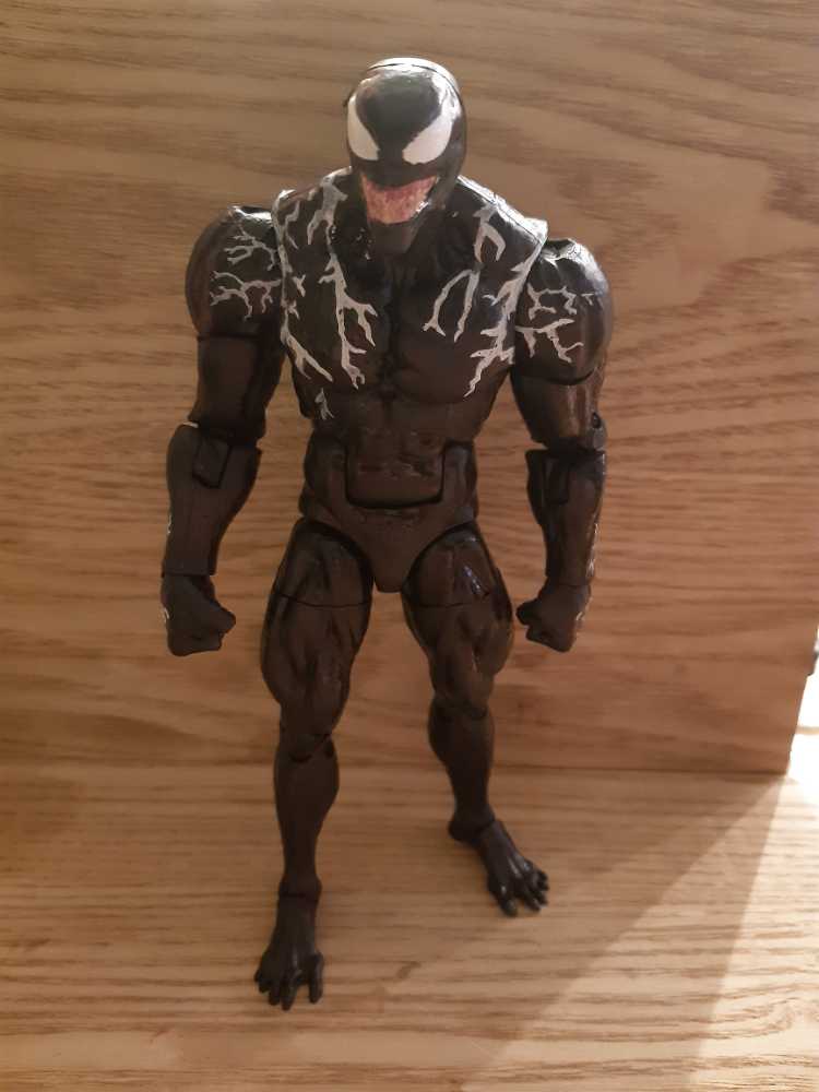 BF Celebration Horse 32 Danesh’s Northern Tempest