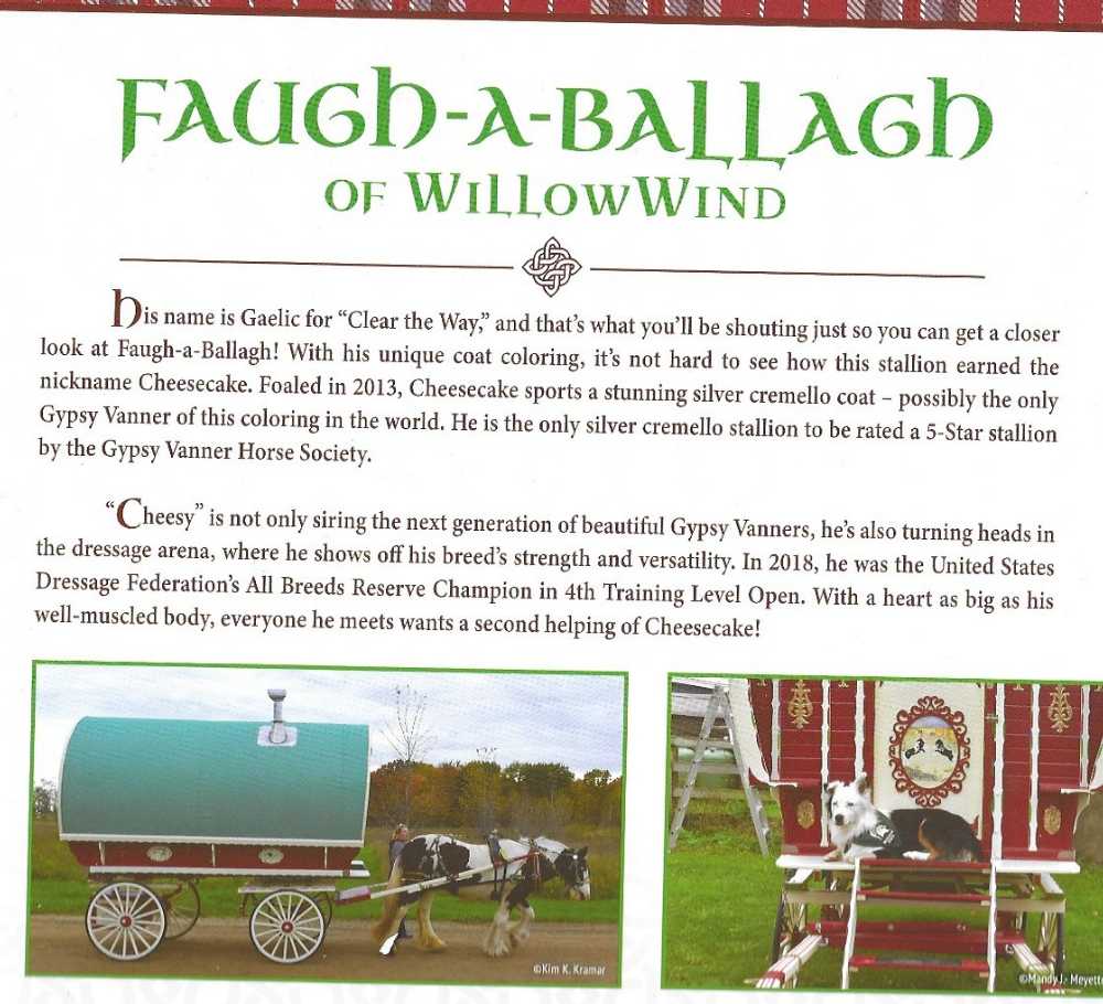 Faugh-A-Ballagh - Breyer action figure collectible - Main Image 3