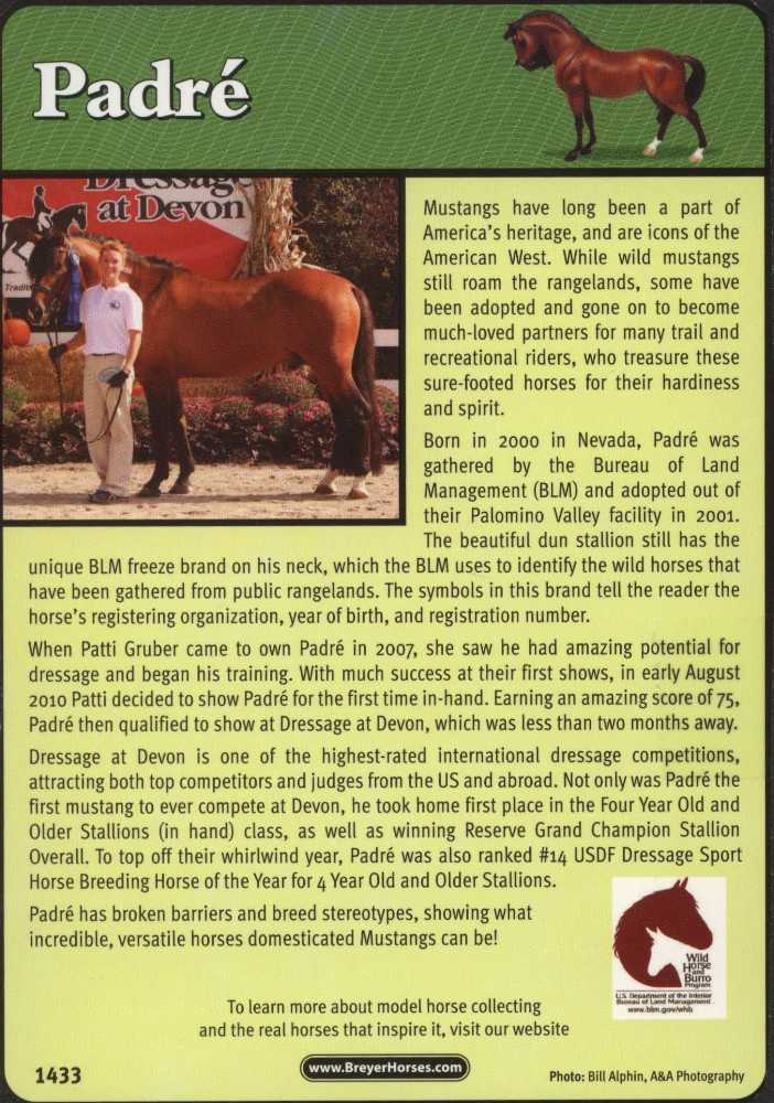 Padre - Breyer action figure collectible - Main Image 4