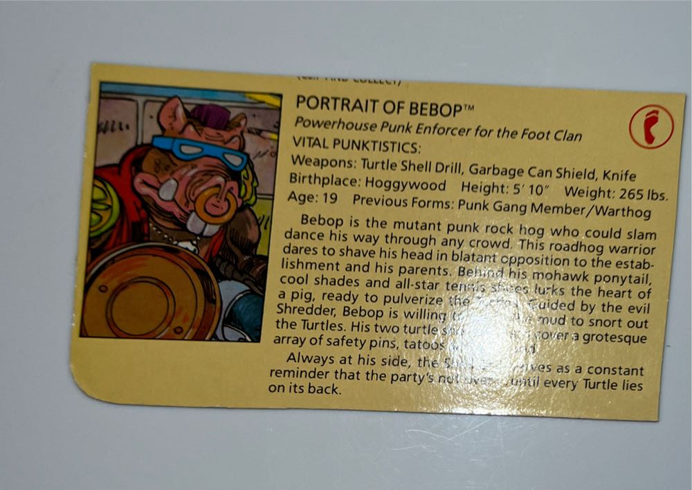 1988 Bebop - Playmates Toys (Teenage Mutant Ninja Turtles) action figure collectible - Main Image 4