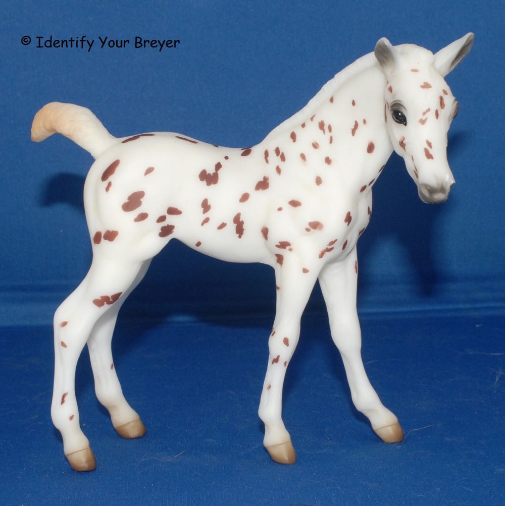 Star Wars Collector Pack