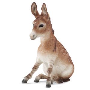 Image 154664