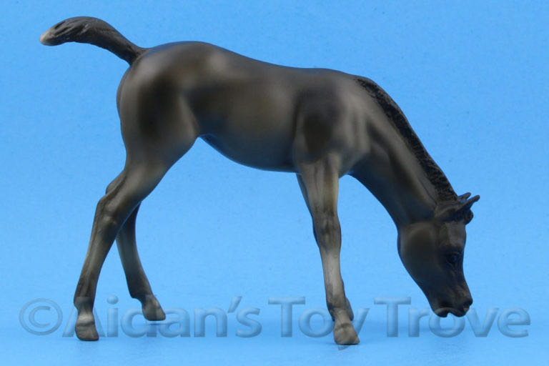 Frankenstein Deluxe Box Set