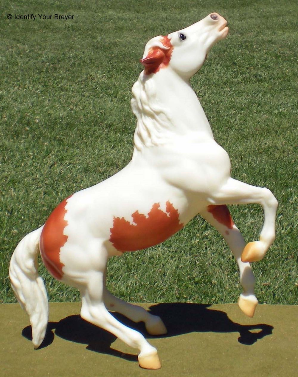 EVIL ”King of Darkness”