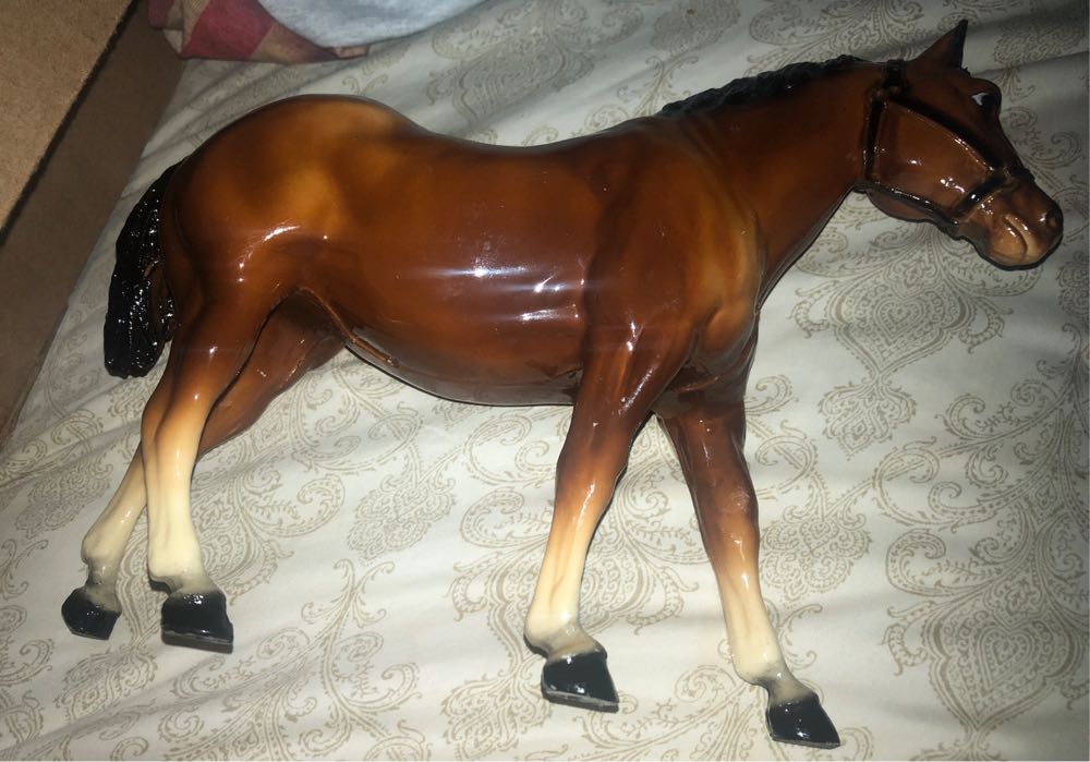 Pokemon Nintendo Pokemon Shield For Nintendo Switch Shield Nintendo