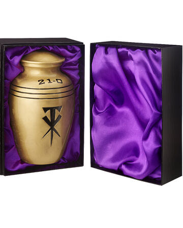 Transformers- Starscream Bumblebee Cyberverse Adventures