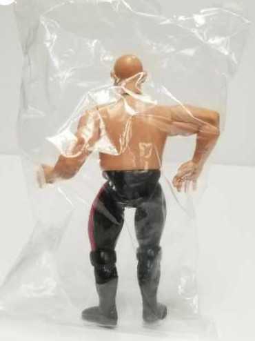 Legends Of Professional Wrestling ”Superstar Billy Graham” - Figures Toy Company (Wrestleling) action figure collectible [Barcode 002000000004] - Main Image 3