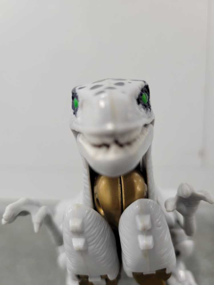 Peter Pan (Swashbuckling)