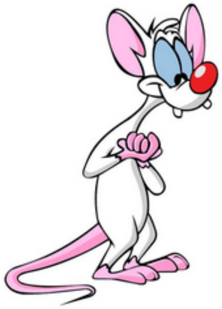 Pinky And The Brain  action figure collectible [Barcode 735306902047] - Main Image 1