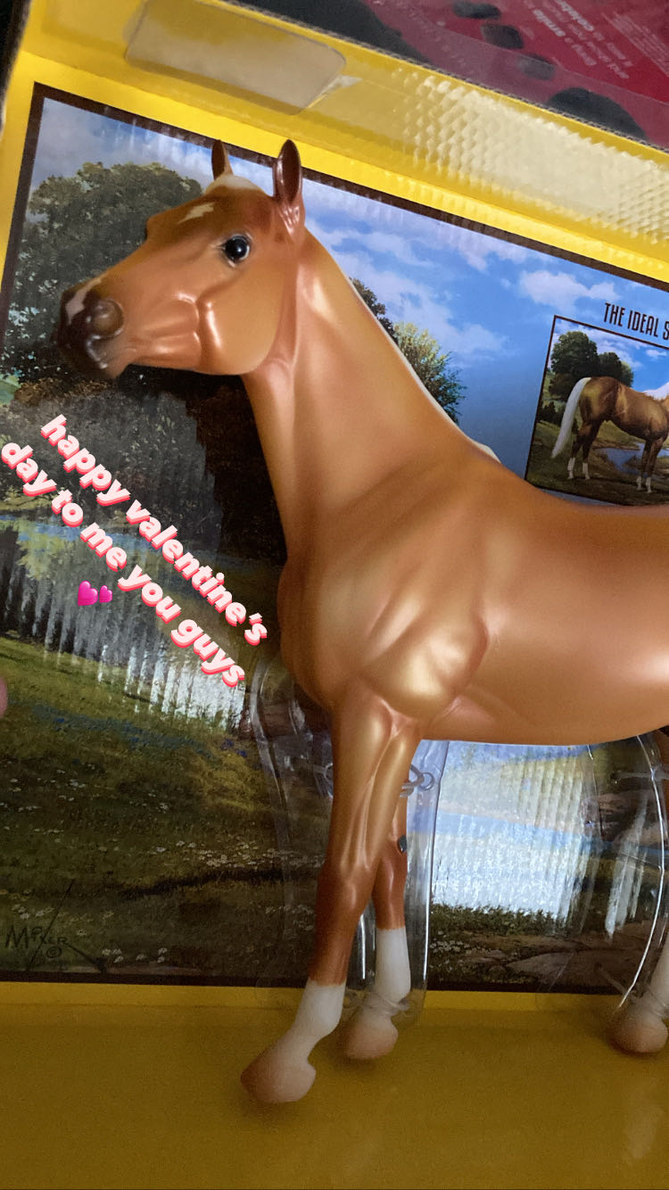 Teenage Mutant Ninja Turtles: Turtle Blimp