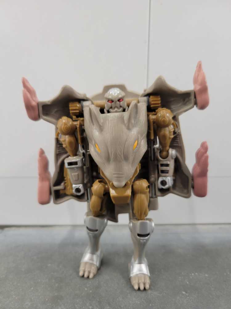 Rattrap 1st - Hasbro (Beast Wars) action figure collectible - Main Image 2