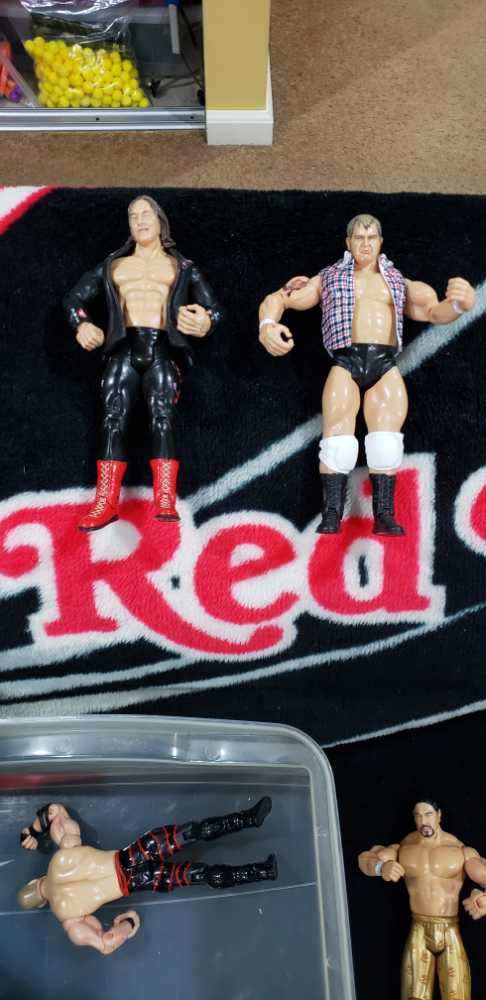 Loping Quarter Horse