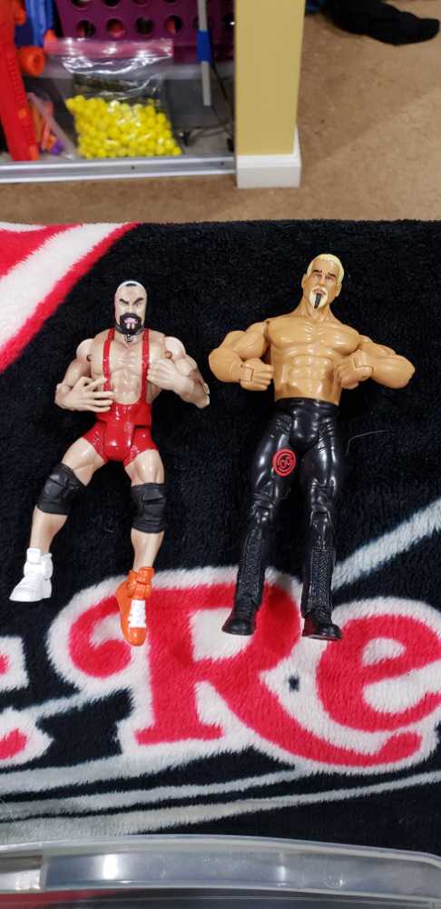 WWE Steiners  action figure collectible - Main Image 1