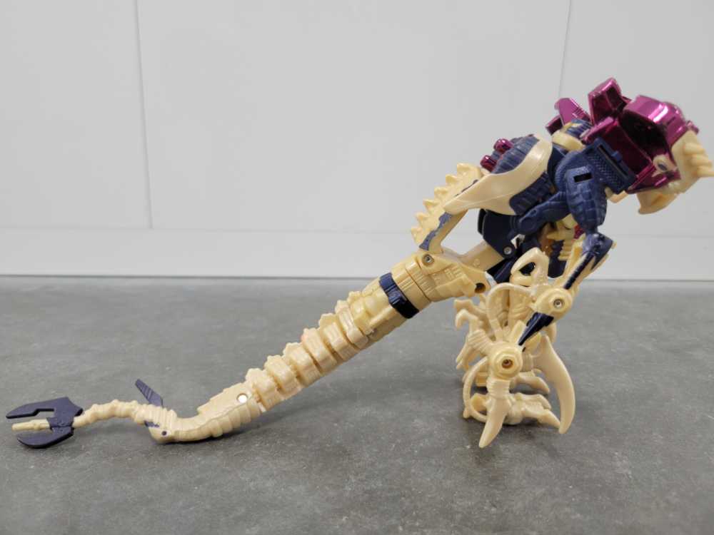 Dinobot Transmetal 2 - Hasbro (Beast Wars) action figure collectible - Main Image 3