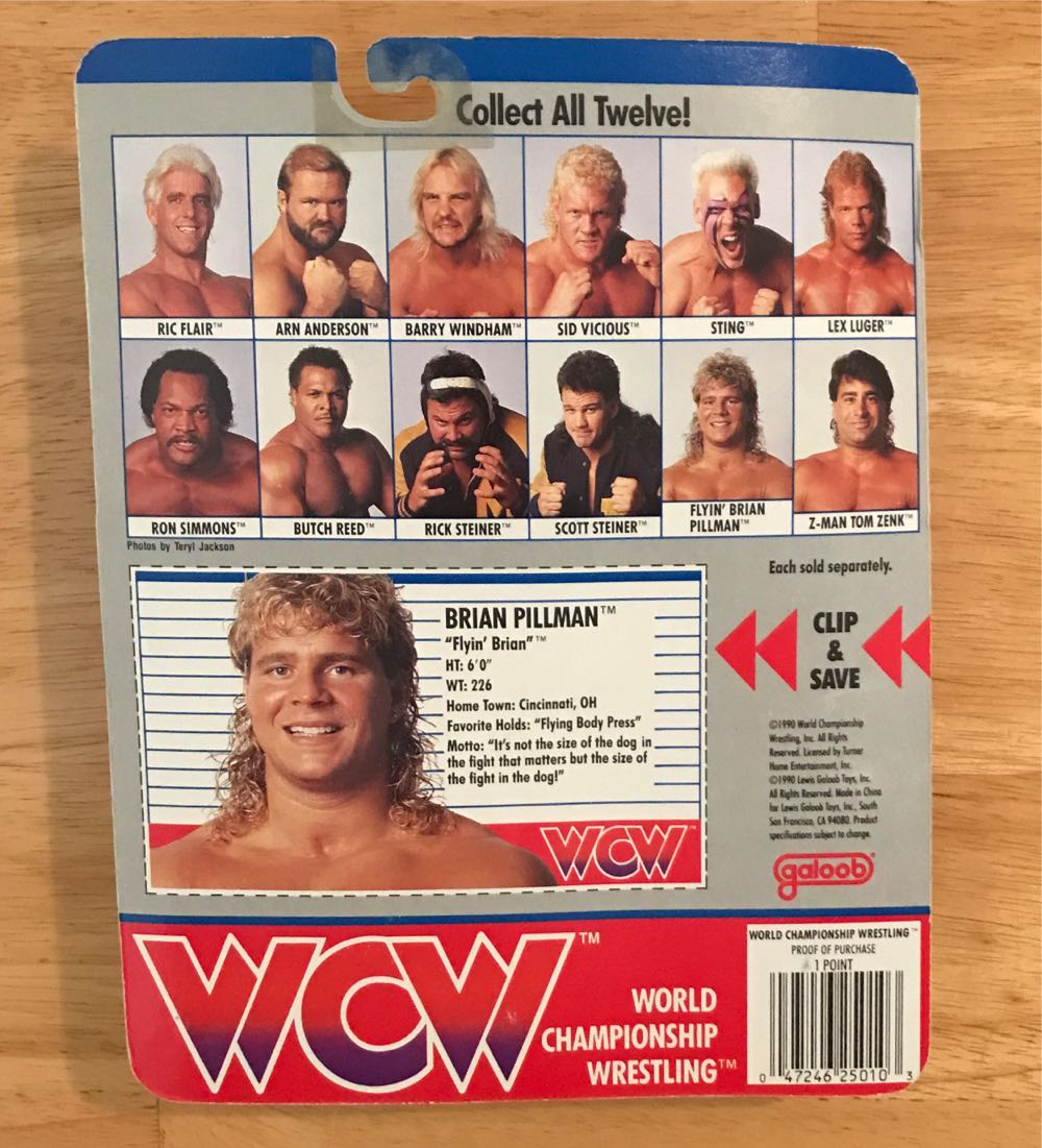 Flying Brian Pillman - WCW Galoob (WCW Galoob Series 1) action figure collectible [Barcode 047246250103] - Main Image 2
