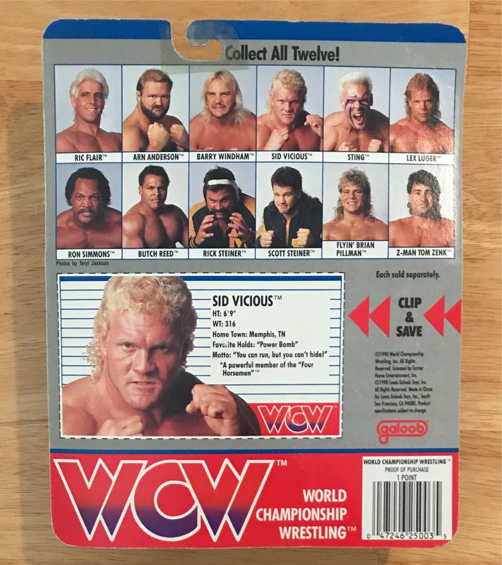 Sid Vicious - Galoob (WCW - Galoob) action figure collectible [Barcode 047246250035] - Main Image 2