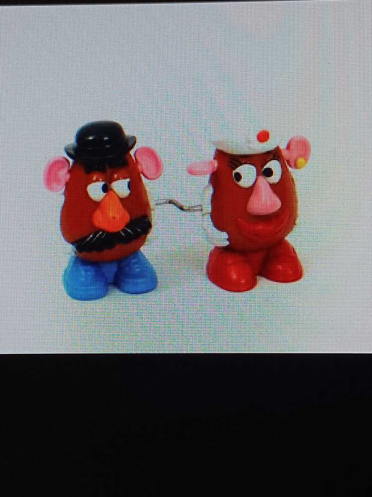 ”Hollywood” Hulk Hogan