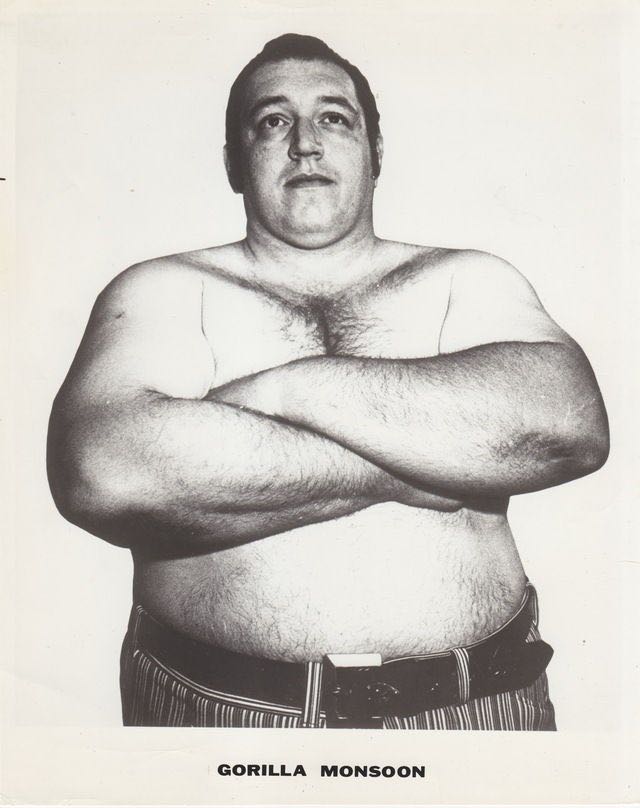 Gorilla Monsoon - Jakks Pacific (WWE Classic Superstars) action figure collectible [Barcode 039897930060] - Main Image 3